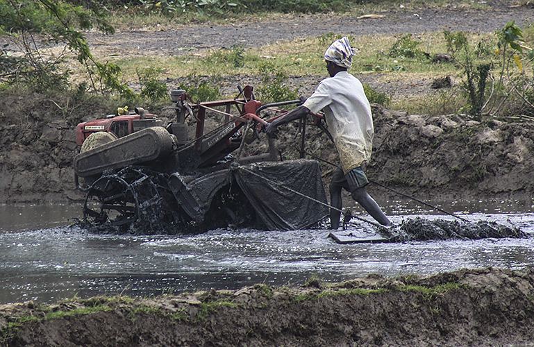 Field Preparation 1-Kumbakkonam